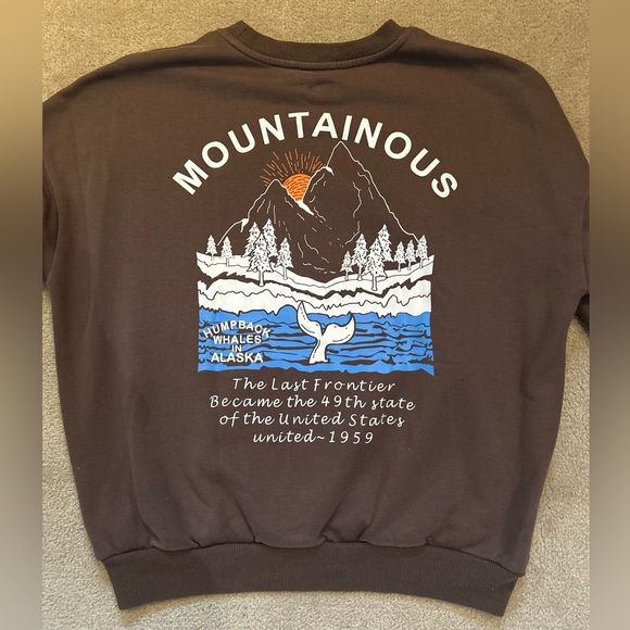 3/$25 Brown graphic crewneck sweatshirt - Picture 2 of 2